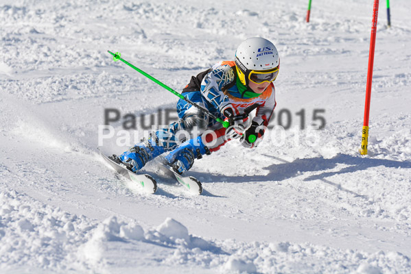 Ziener Cup Finale 2015