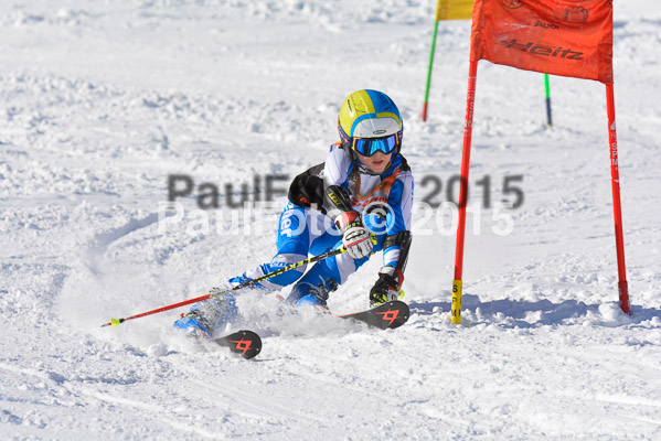Ziener Cup Finale 2015