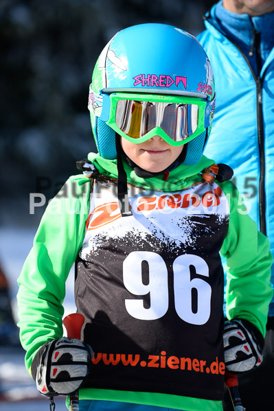 Ziener Cup Finale 2015