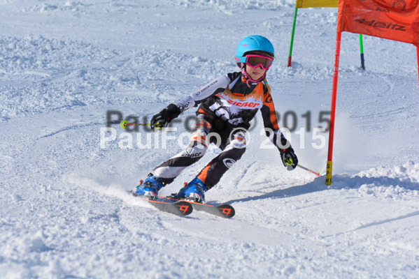 Ziener Cup Finale 2015