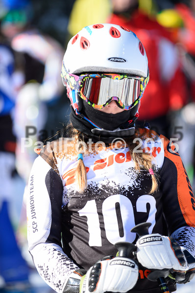 Ziener Cup Finale 2015