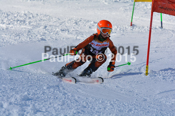 Ziener Cup Finale 2015