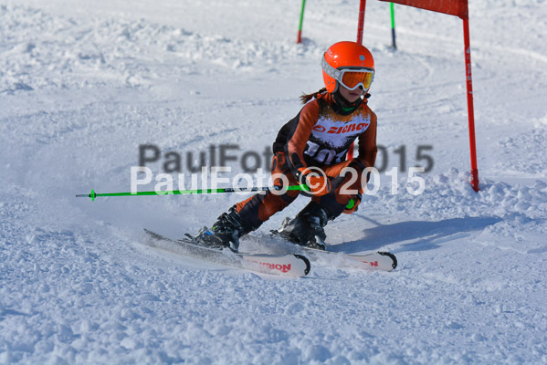 Ziener Cup Finale 2015