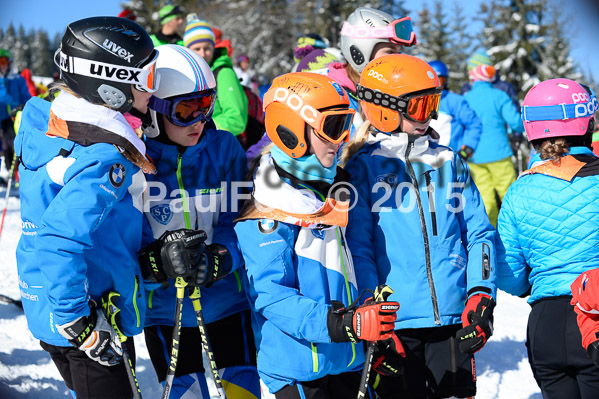 Ziener Cup Finale 2015