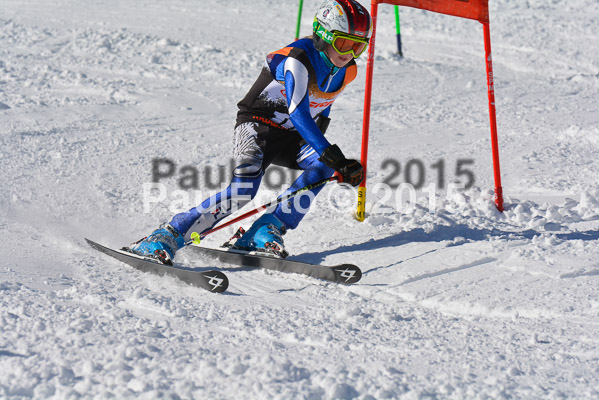 Ziener Cup Finale 2015