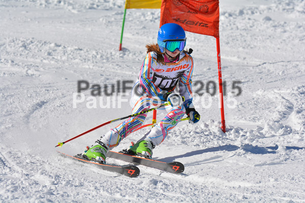 Ziener Cup Finale 2015
