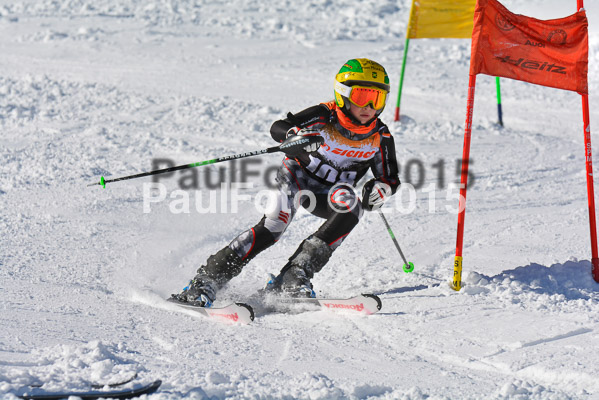 Ziener Cup Finale 2015