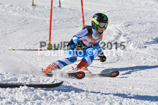 Ziener Cup Finale 2015