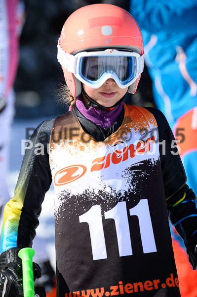 Ziener Cup Finale 2015