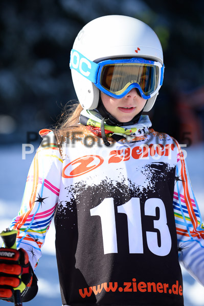 Ziener Cup Finale 2015
