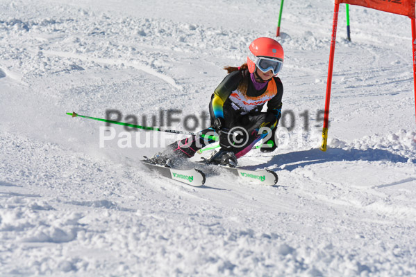Ziener Cup Finale 2015