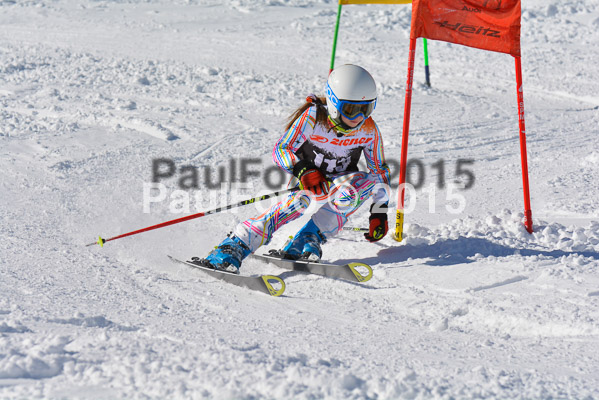 Ziener Cup Finale 2015