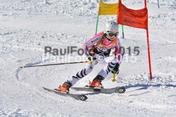 Ziener Cup Finale 2015