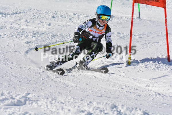 Ziener Cup Finale 2015