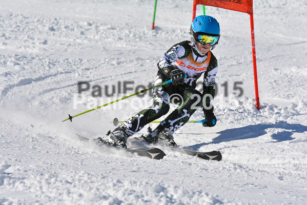 Ziener Cup Finale 2015