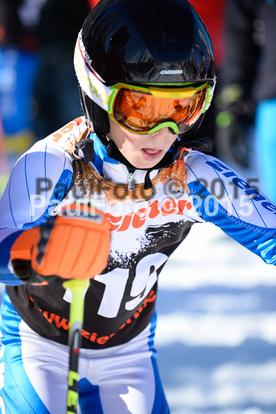 Ziener Cup Finale 2015