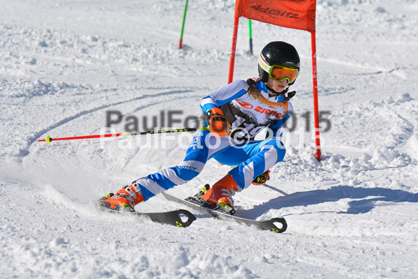 Ziener Cup Finale 2015