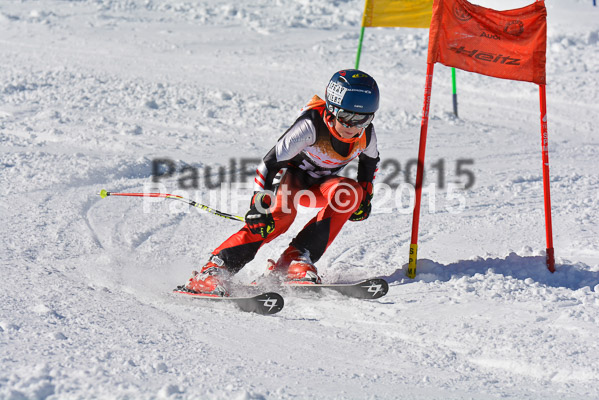Ziener Cup Finale 2015