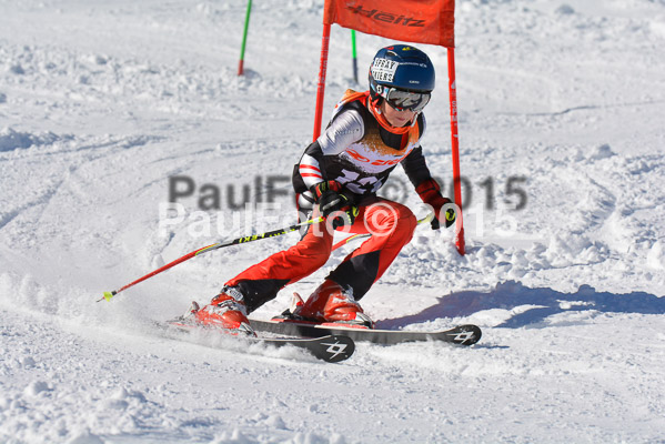 Ziener Cup Finale 2015