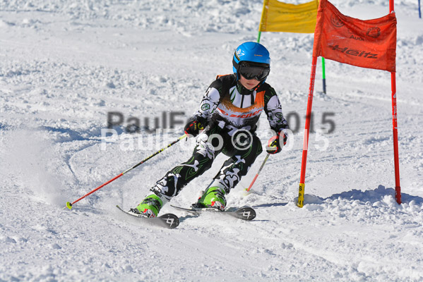 Ziener Cup Finale 2015