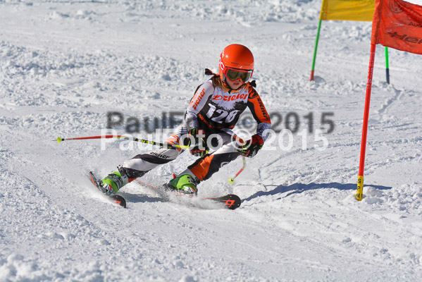 Ziener Cup Finale 2015