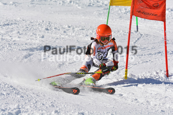 Ziener Cup Finale 2015