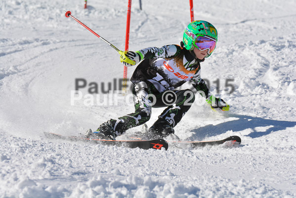 Ziener Cup Finale 2015