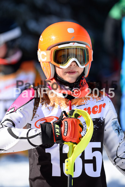 Ziener Cup Finale 2015