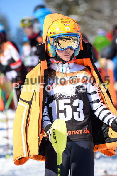 Ziener Cup Finale 2015