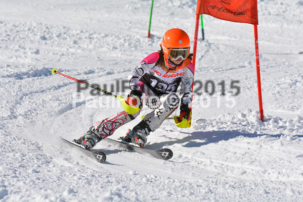 Ziener Cup Finale 2015
