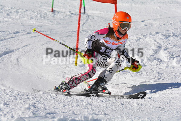 Ziener Cup Finale 2015