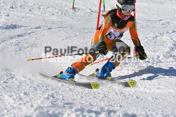Ziener Cup Finale 2015