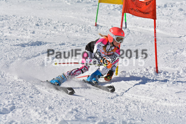 Ziener Cup Finale 2015