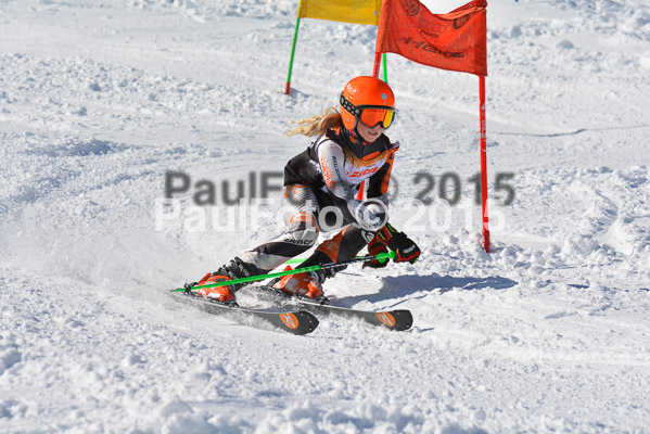 Ziener Cup Finale 2015