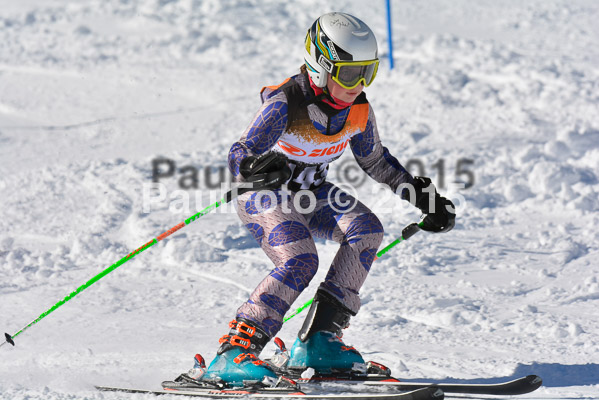 Ziener Cup Finale 2015