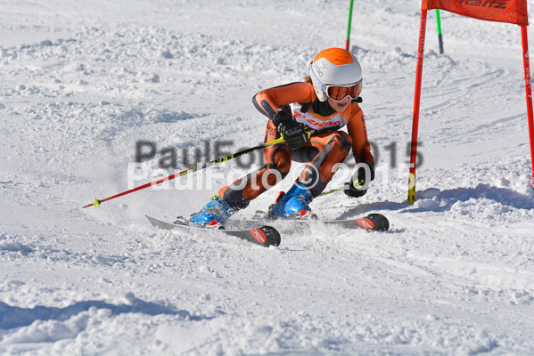 Ziener Cup Finale 2015