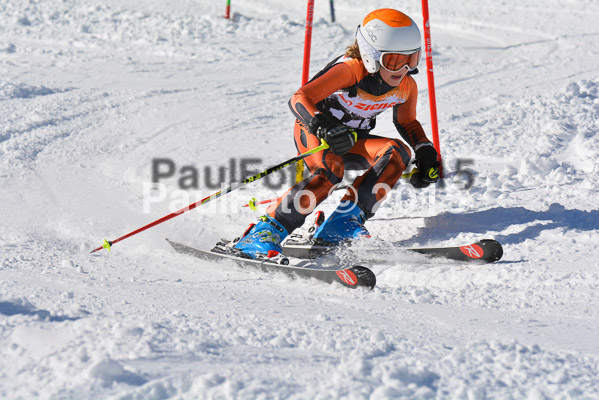 Ziener Cup Finale 2015