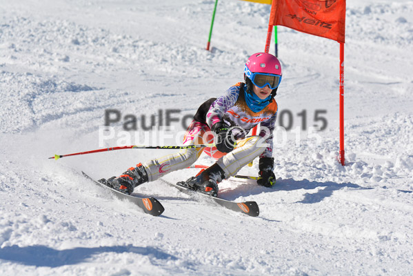 Ziener Cup Finale 2015