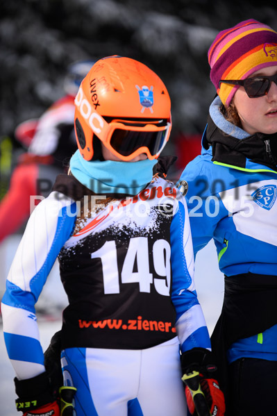 Ziener Cup Finale 2015