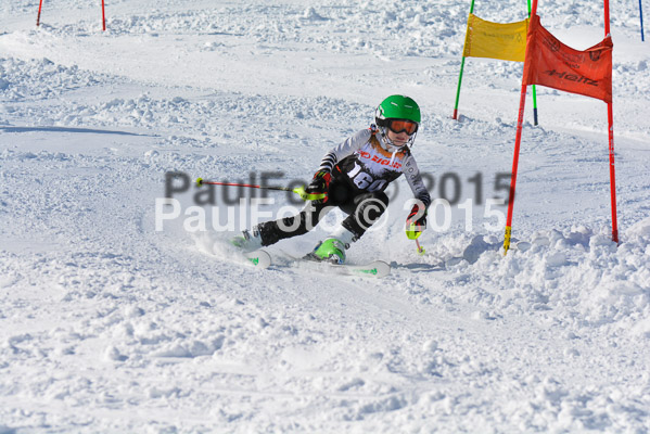 Ziener Cup Finale 2015