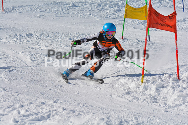 Ziener Cup Finale 2015