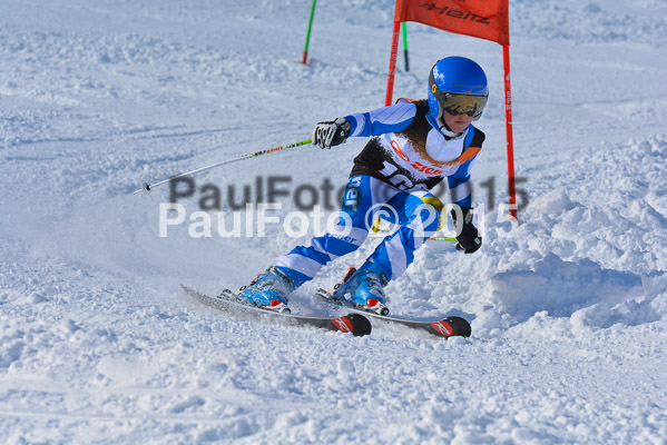 Ziener Cup Finale 2015