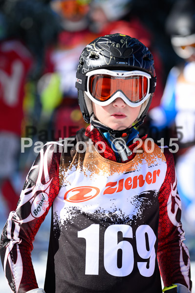 Ziener Cup Finale 2015