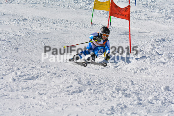 Ziener Cup Finale 2015