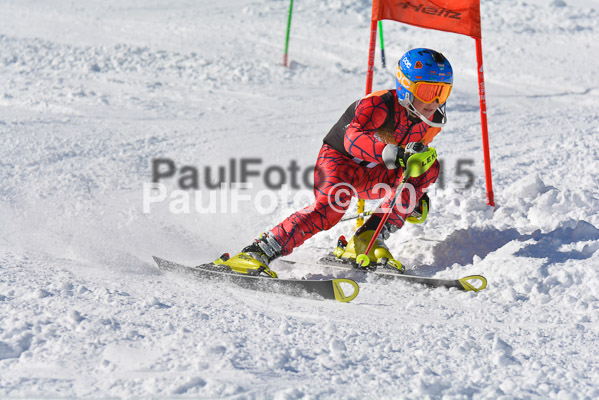 Ziener Cup Finale 2015