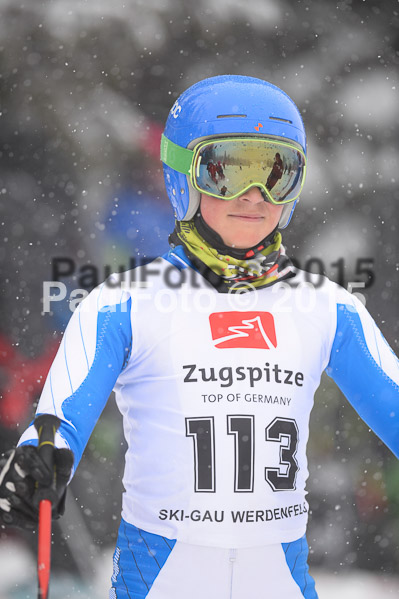 BZB CUP Finale 2015