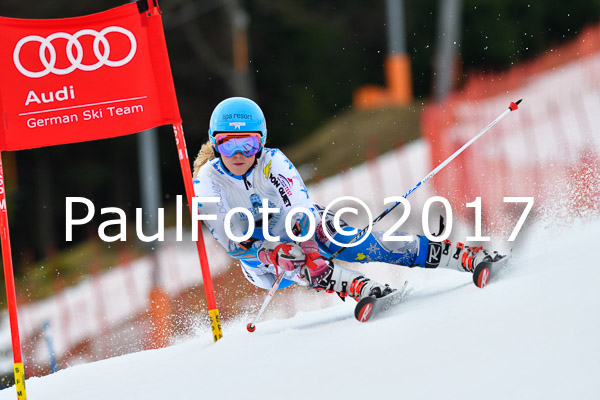 Int. Deutsche Meisterschaft RS Damen + Teambewerb