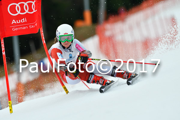 Int. Deutsche Meisterschaft RS Damen + Teambewerb