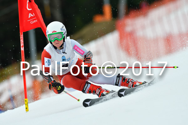 Int. Deutsche Meisterschaft RS Damen + Teambewerb