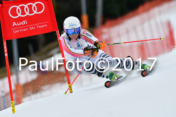 Int. Deutsche Meisterschaft RS Damen + Teambewerb